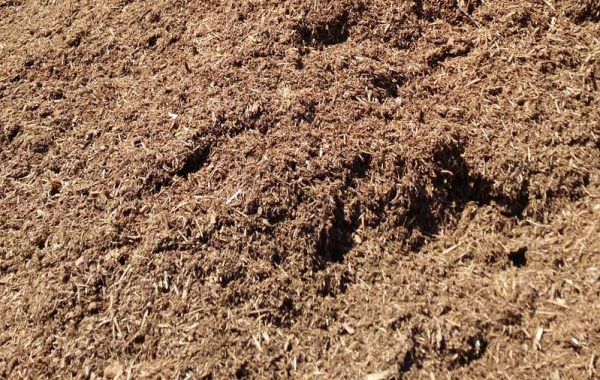 Pine Bark Mulch